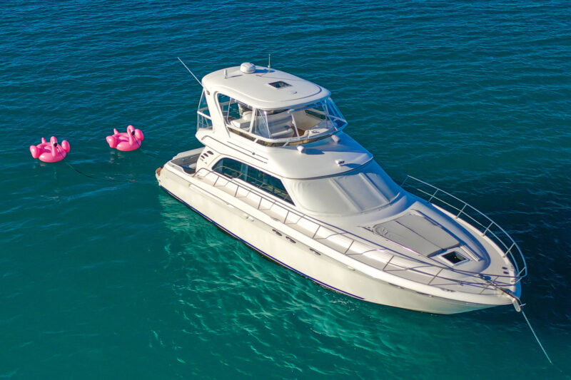 55Ft Sea Ray Flybridge  available In Miami Beach for rent for up to 13 Guest. - Image 2