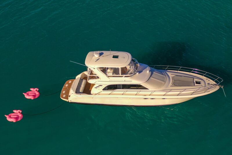 55Ft Sea Ray Flybridge  available In Miami Beach for rent for up to 13 Guest. - Image 5